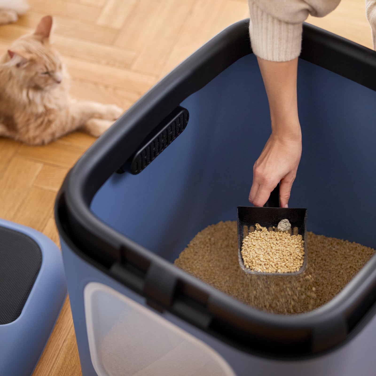 Rotho Biala XXL Katzenklo mit Deckel als Katzentoilette aus Kunststoff Blau | Cat Litter Box, großformatige XXL-Ausführung, Deckel, blaue Kunststoffausführung, fester Toilettenplatz für Katzen zuhause
