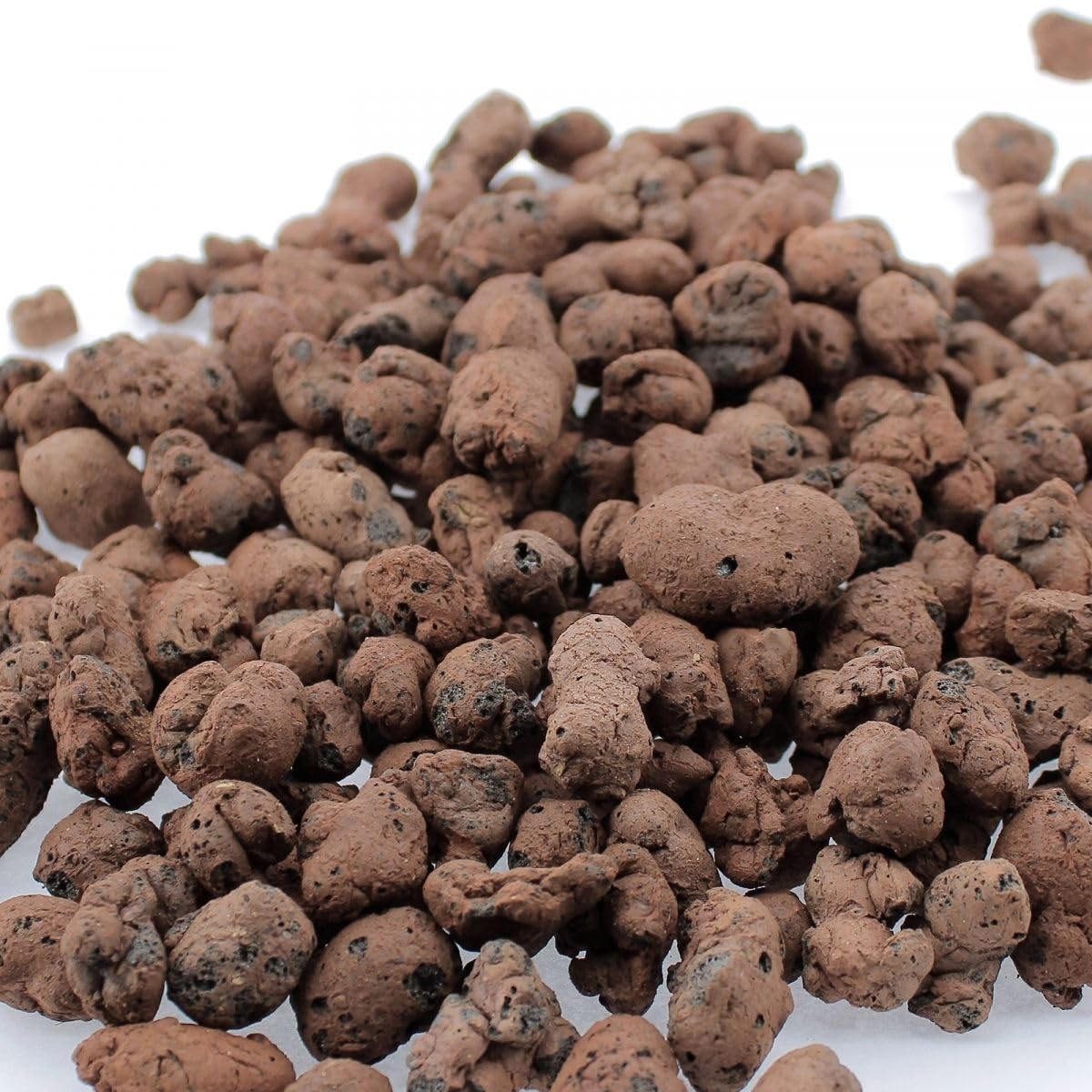 GOLD LABEL - Billes d'argile HYDROCORN 45L - Pour jardiniers hydroponiques - Jardinage hydroponique - Favorise la croissance des racines - Substrat inerte certifié RHP