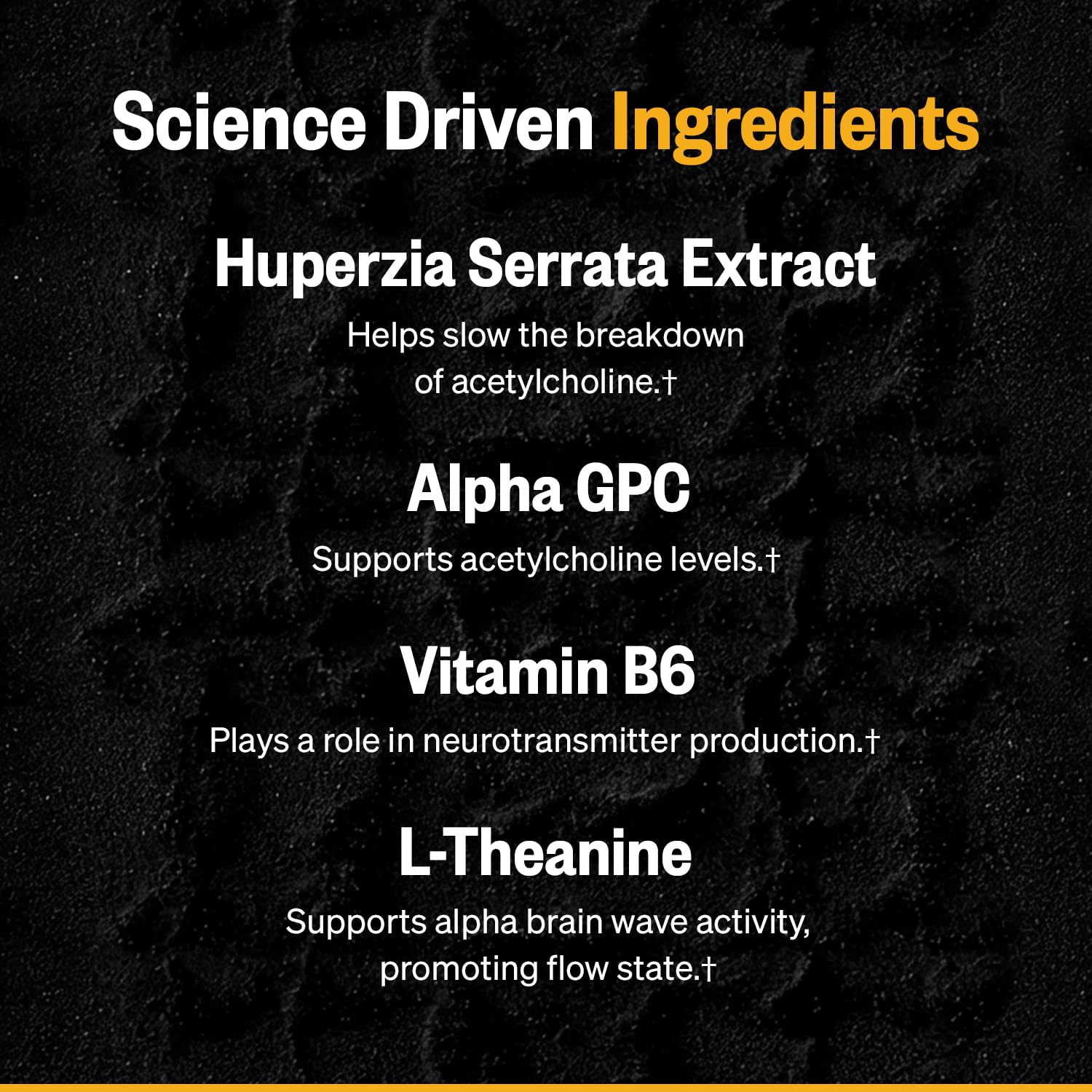 ONNIT Alpha Brain Instant Nootropic Drink Mix, BlackBerry Lemonade, 30 Ct — Amazon image 5