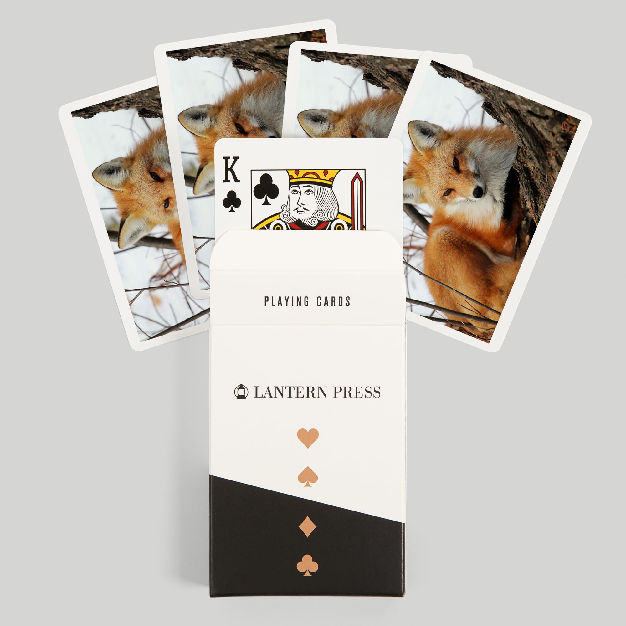 Amazon.com: Lantern Press Red Fox in Winter, 52 Playing Cards for