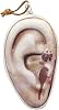 The Walking Dead Severed Ear Coin Purse