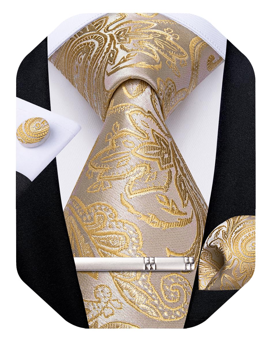 DiBanGu Silk Floral Ties for Men Woven Paisley Necktie