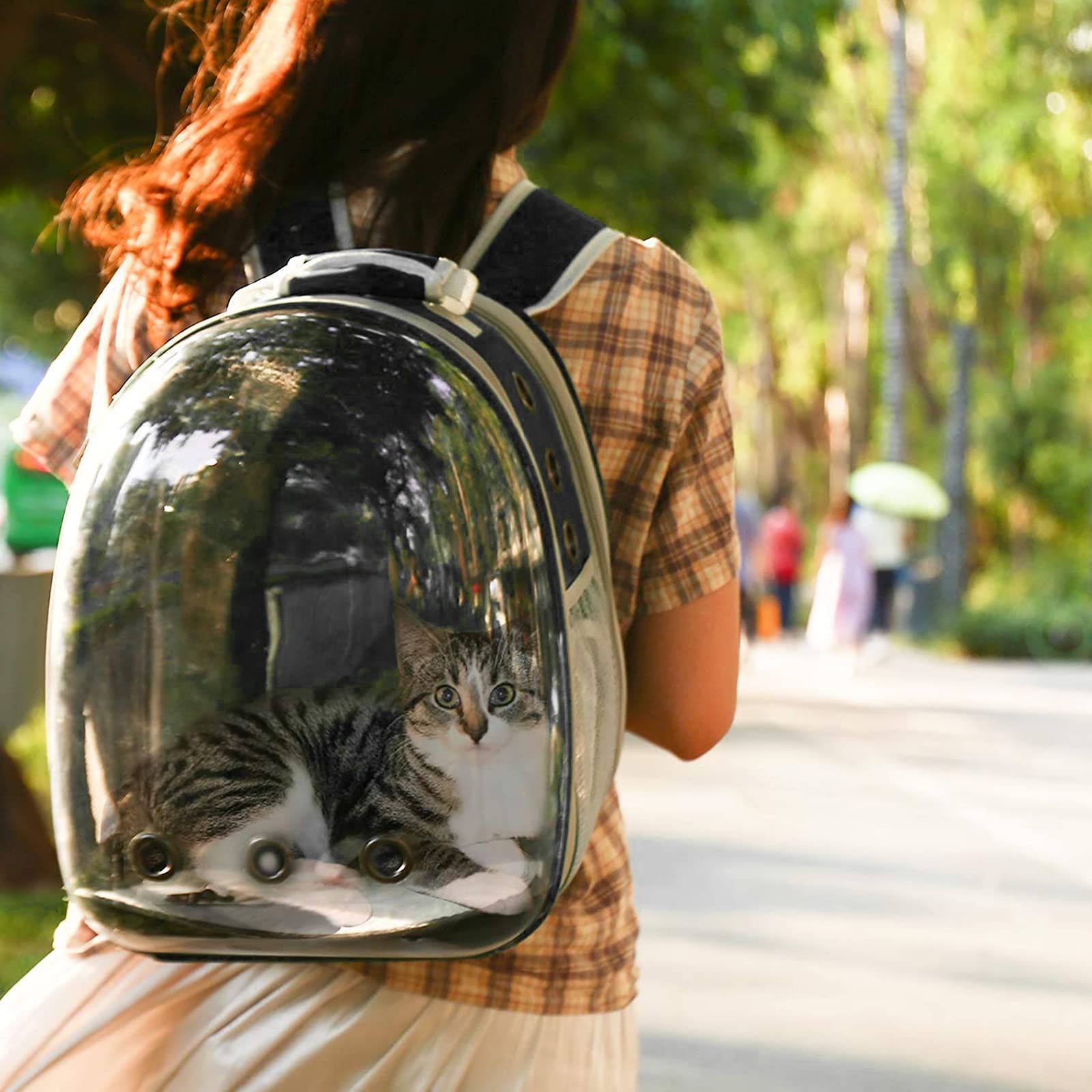 Galatée Zaino Per Gatti, Zaino Per Animali Domestici Trasparente Espandibile, Zaino Per Gatti Con Capsula Spaziale Ventilata, Zaino Portatile Per Cuccioli Per Campeggio Da Viaggio(Grigio)