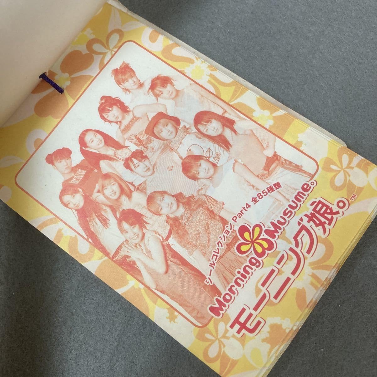 Amazon.co.jp: モーニング娘。シールコレクション 34枚付 2002年 当時