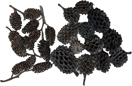 Awesome Aquatic - Conos de aliso y casuarina que promueve el hábitat natural, la cría, la producción de taninos mejora la inmunidad, alternativa