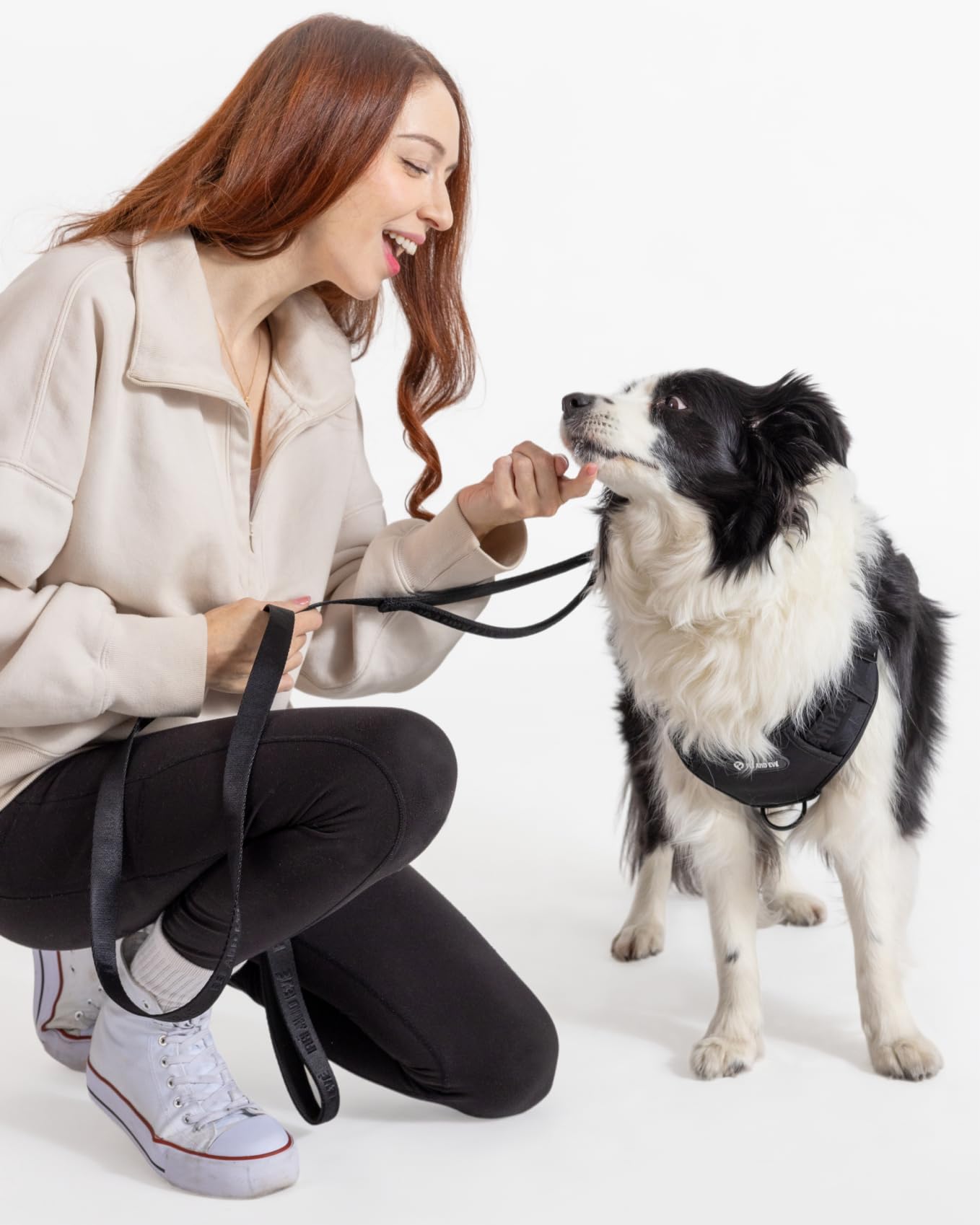 Correa para Perro Que Absorbe los Golpes, Correa Resistente con Mango Acolchado, sin tirones y sin enredos, para Perros pequeños a Grandes, Negro, 6 pies