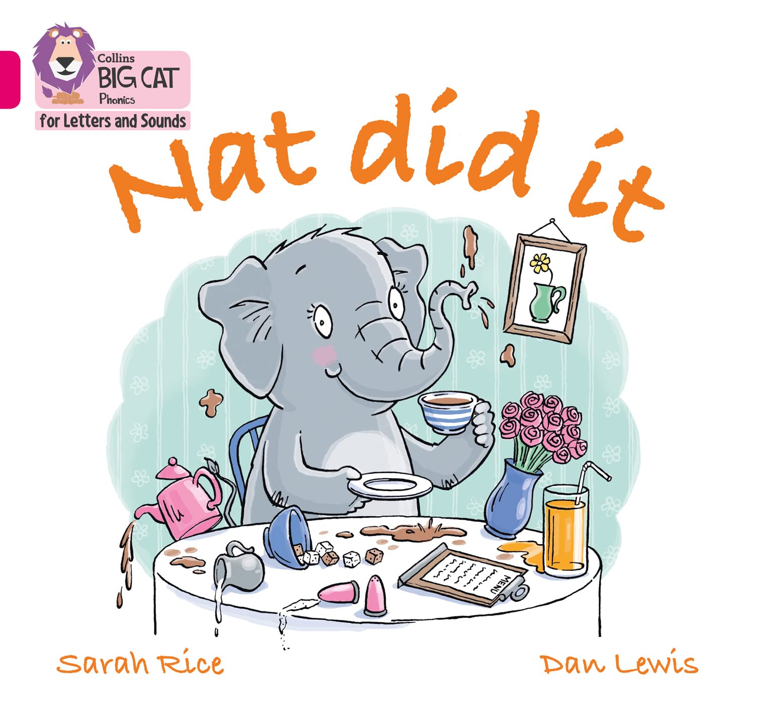 Nat Did It by Sarah Rice PAPERBACK 9780008351885
