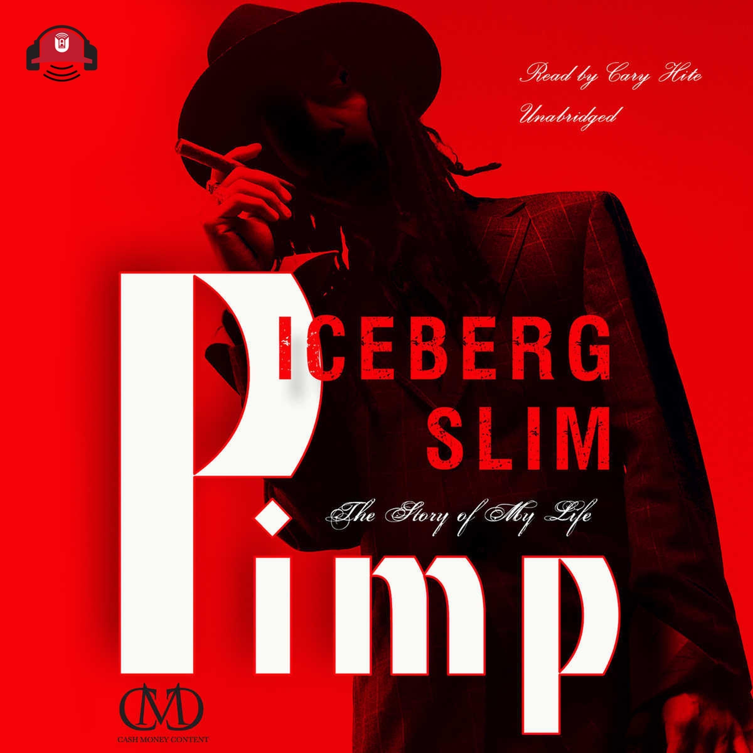 Cover art for Pimp