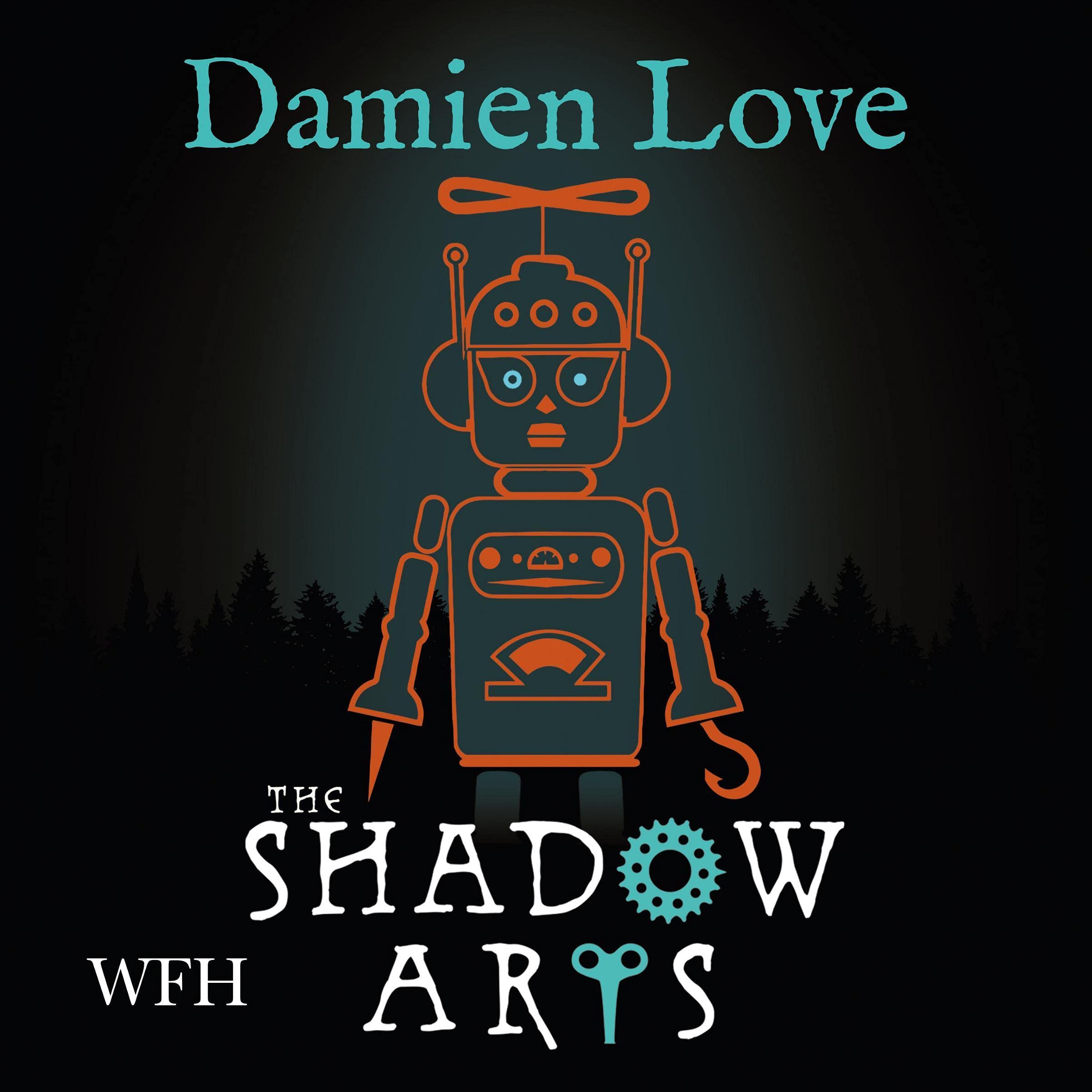 Cover art for The Shadow Arts