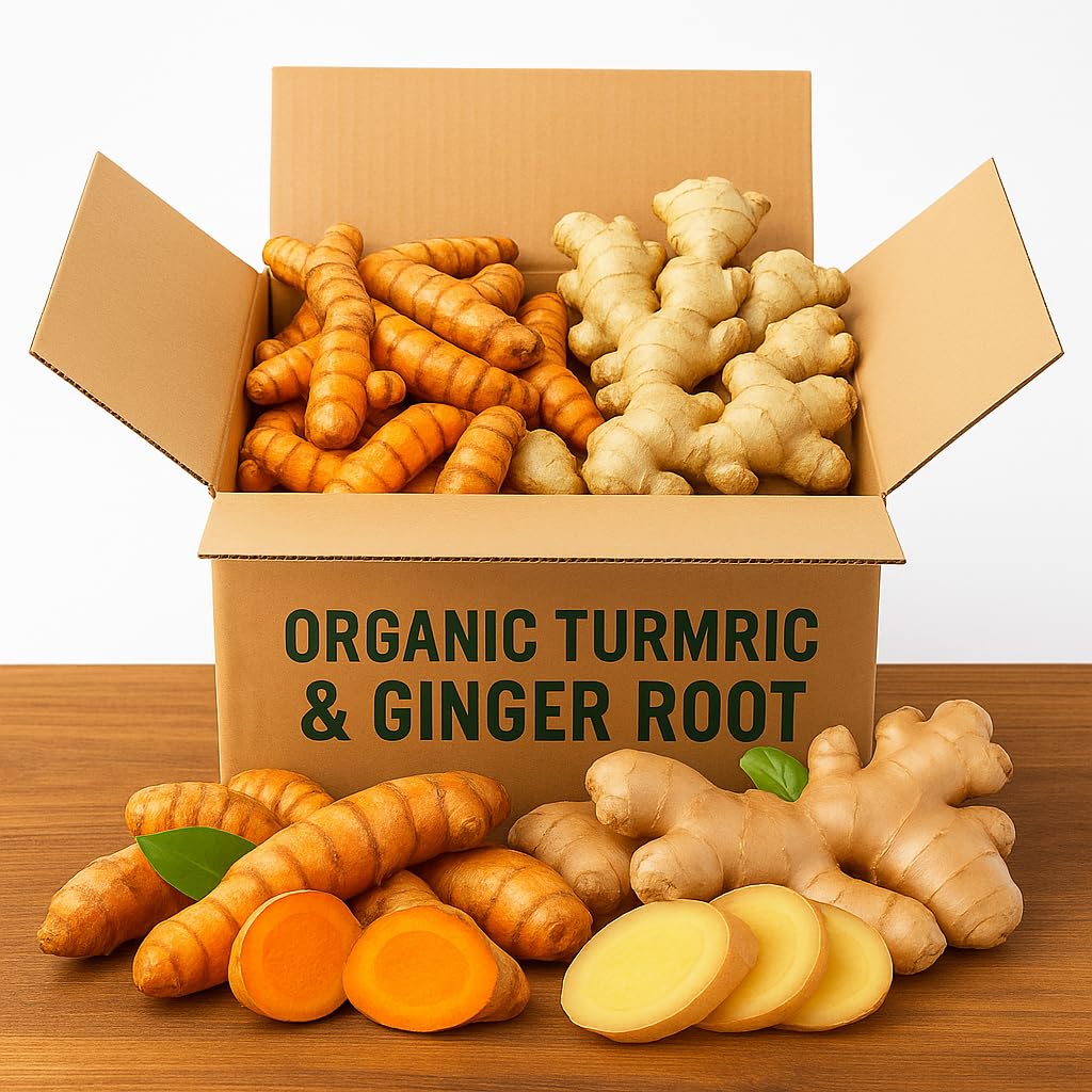 2 Lbs US Grown (Not from FIJI!) Organic Turmeric and Ginger Root Blend Box (1 lb US Grown Turmeric FRESH + 1 lb Peruvian Ginger FRESH) - USA's Finest Wellness Ingredients Best for Cooking fresh turmeric and ginger root
