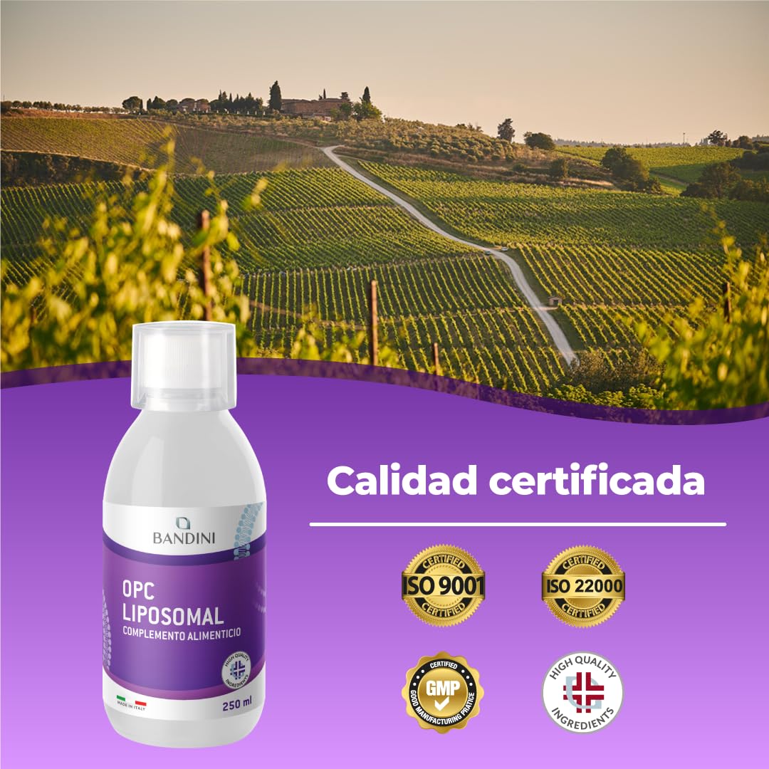 Bandini® OPC Líquido Liposomal 250 ml - Extracto de Semilla de Uva 95% OPC (200 mg por dosis) - Fórmula de Absorción Óptima con Tecnología Liposomal - Suplemento Antioxidante Natural