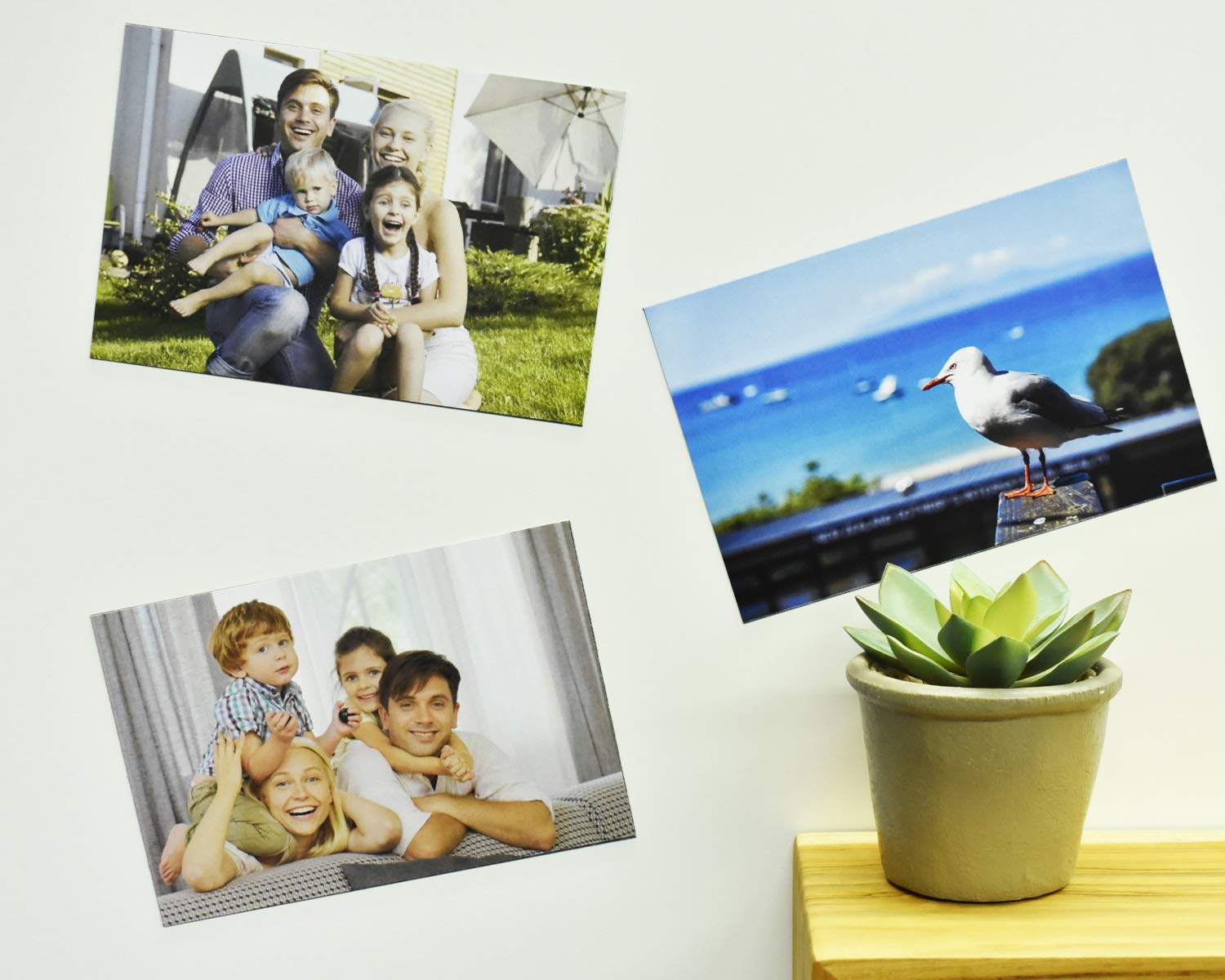 Buy MagX Adhesive Sheets 10cm × 15cm(10 Sheets), Flexible