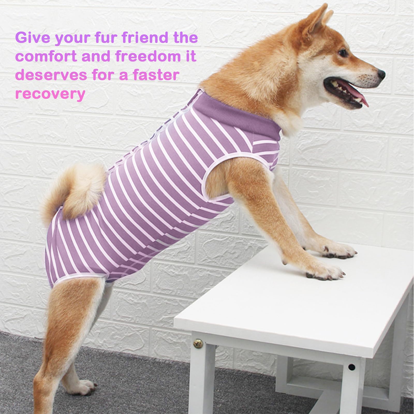 PUMYPOREITY Body Chien Post Operatoire Onesies Chien Combinaison de