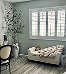 Review Image by Frani Frani