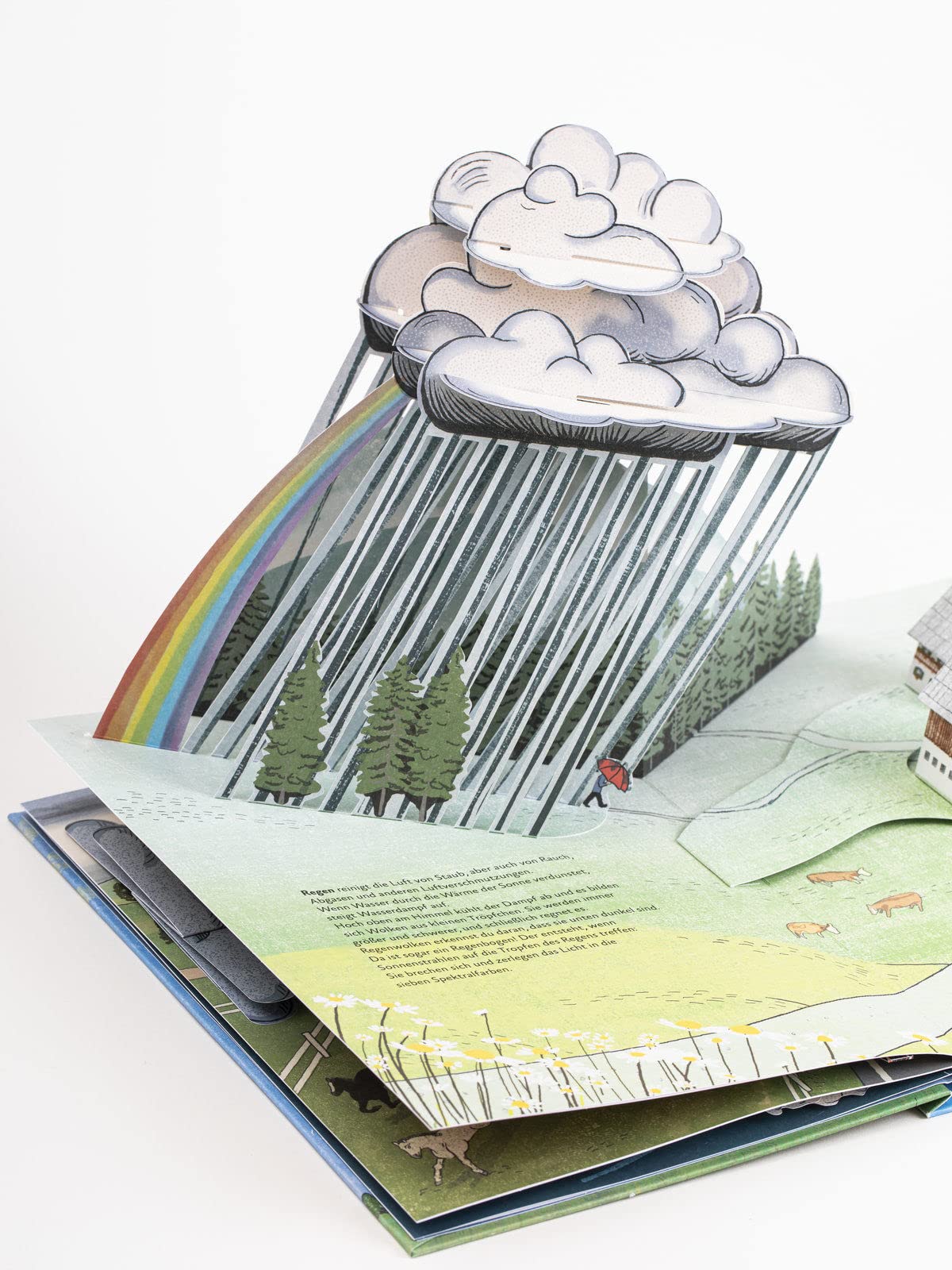 Das Wetter Pop-up-Buch: Stürme, Regen, Kälte und Hitze entstehen