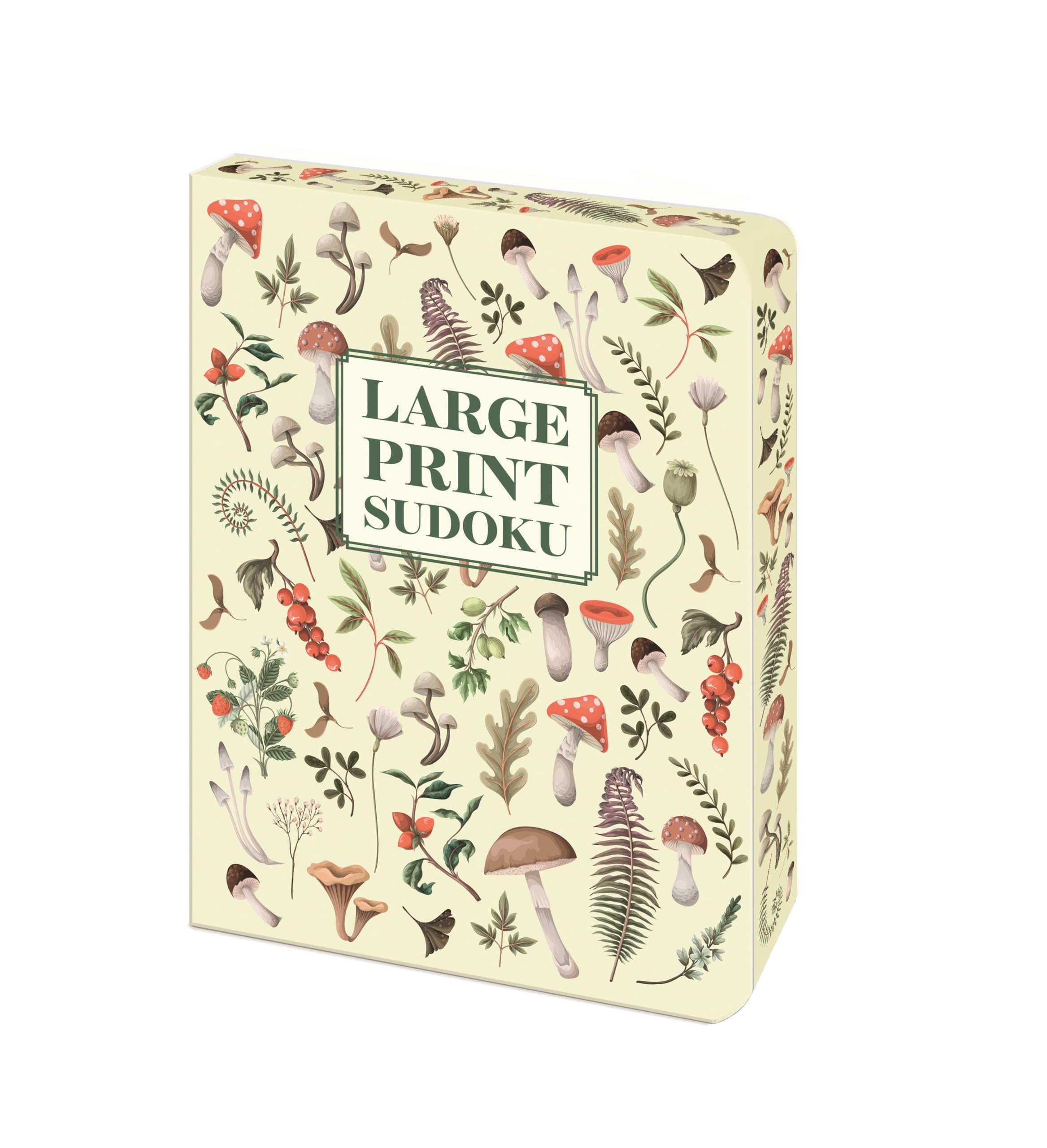 Large Print Sudoku: Over 130 Puzzles (Arcturus Patterned Edge Puzzles)