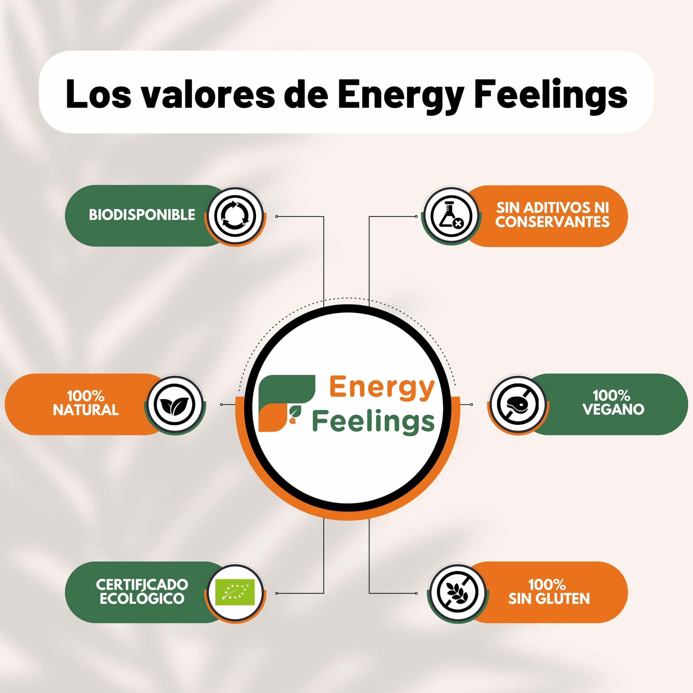 Energy Feelings Bebida de Coco Deshidratada en Polvo Ecológica 200g, Leche en Polvo Sin Lactosa y Sin Azúcares Añadidos, Vegano, Eco Coconut Milk