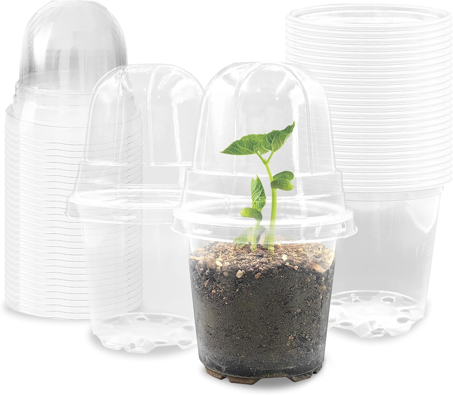 vol 6pcs Clear Nursery Pots with Humidity Dome, 10cm Plastic Plant Pots Transparent Flower Pots with Hole, Seeding Planter Seed Starter Pots with Labels for Indoor Outdoor Garden