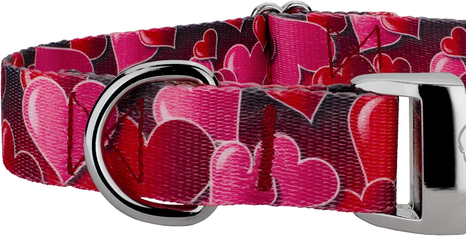 Country Brook Design - Premium Romantic Hearts Dog Collar and Leash - Affection Collection Featuring Designs You'll Adore - (1 Inch, Extra Large)