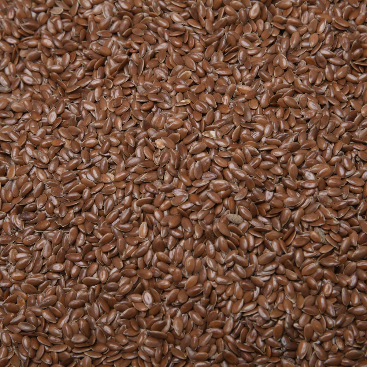 Dry Fruit Hub Flax Seeds 250gm,Flax Seeds For Eating, Fibre Rich Alsi Seeds - Image 3 thumbnail