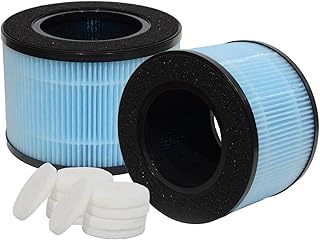 PUREBURG Replacement Filter Compatible with Aircillin AP0801 Air Purifier,2-Pack H13 HEPA & 10 Aroma Pad, 3-Stage Filtration Activated Carbon 2-in-1 Air Cleaner