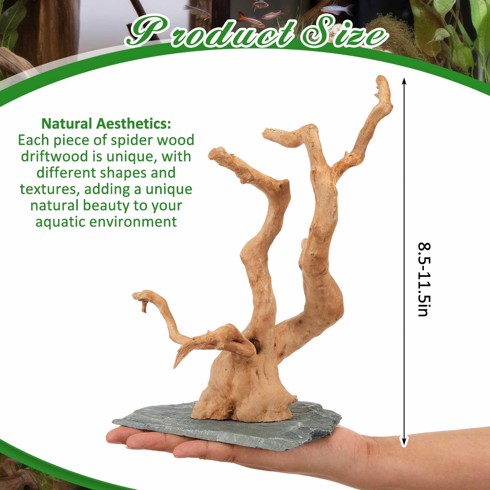 AceOrbit Grande legno naturale di ragno, 21,5-29,9 cm, legno naturale per acquario, legno di ragno su pietra ardesia, per acquario, terrario, vivario, acquario per rettili, decorazione per acquari