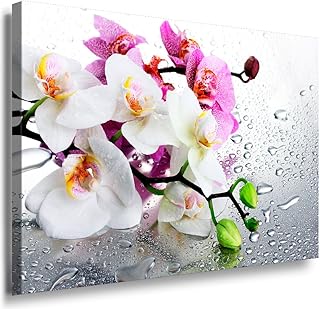 LaraArt Impression sur toile Motif orchidée Multicolore 40 x 30 cm