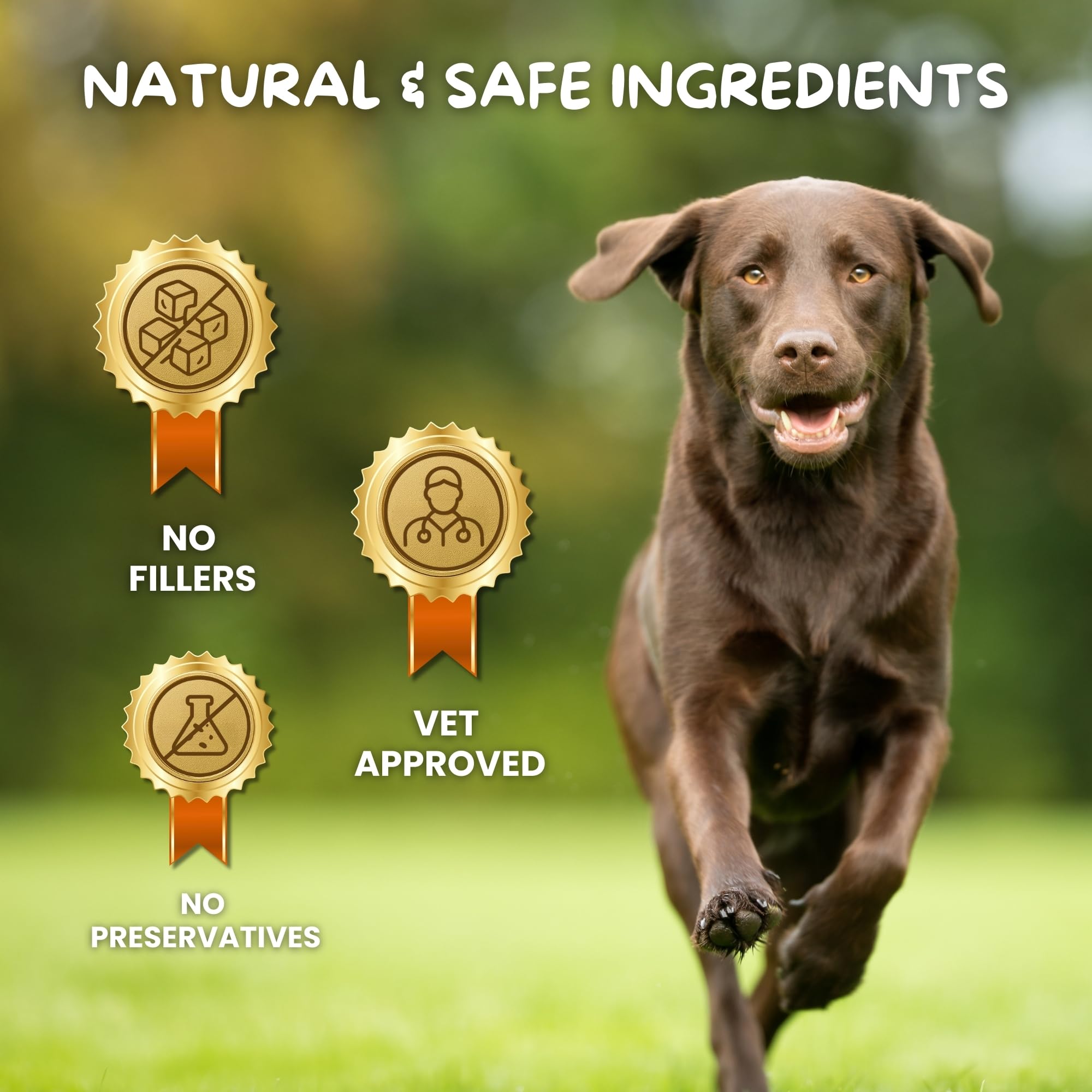 Cuddl Hip & Joint Supplement for Dogs | Mobility, Pain Relief & Cartilage Care Chews | Glucosamine, Collagen, Calcium, MSM, Turmeric, Fish Oil | Senior & Adults | No Fillers & Preservatives — Amazon image 4