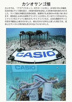 即購入OK❗️BABY-G 2018アクアプラネットモデル 5570 即購入OK❗️BABY-G 2018アクアプラネットモデル 5570 - メルカリ