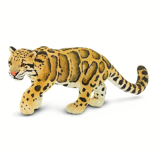 Leopardo Nublado 12.7cm