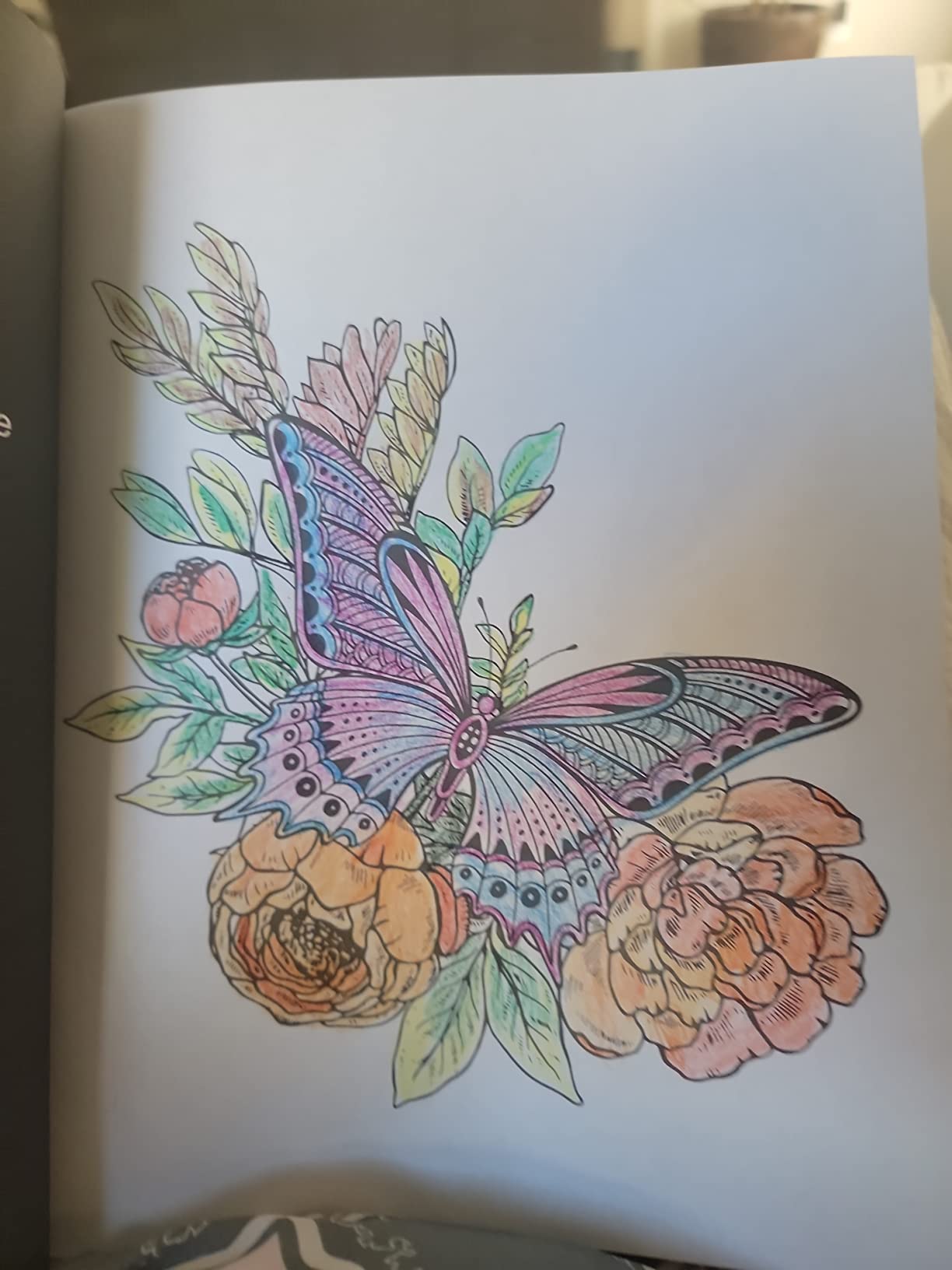 It's okay for the price.