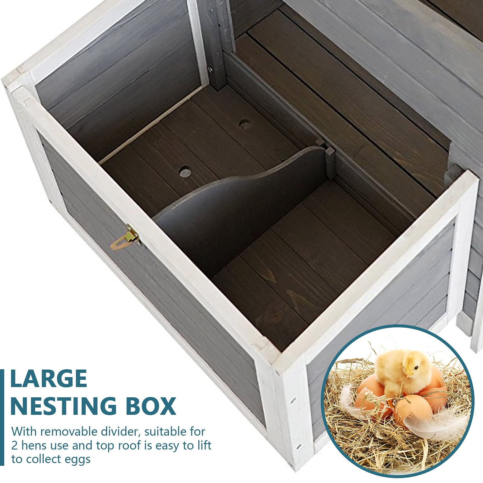 Petsfit Weatherproof Outdoor Chicken Coop with Nesting Box, Outdoor Hen