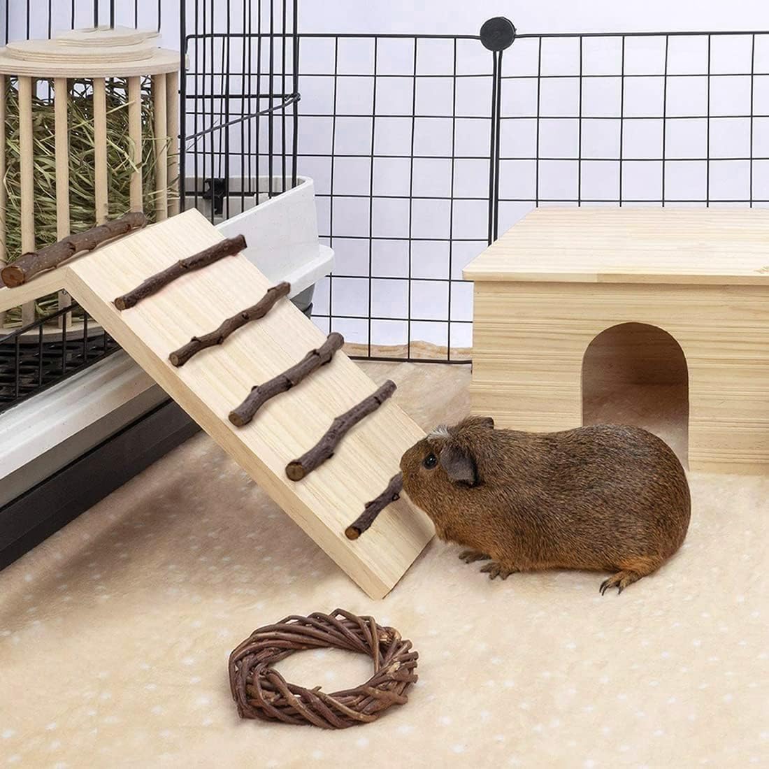 Hamiledyi Rabbits Wooden Cage Bridge Ramp Guinea Pig Botswana Ubuy