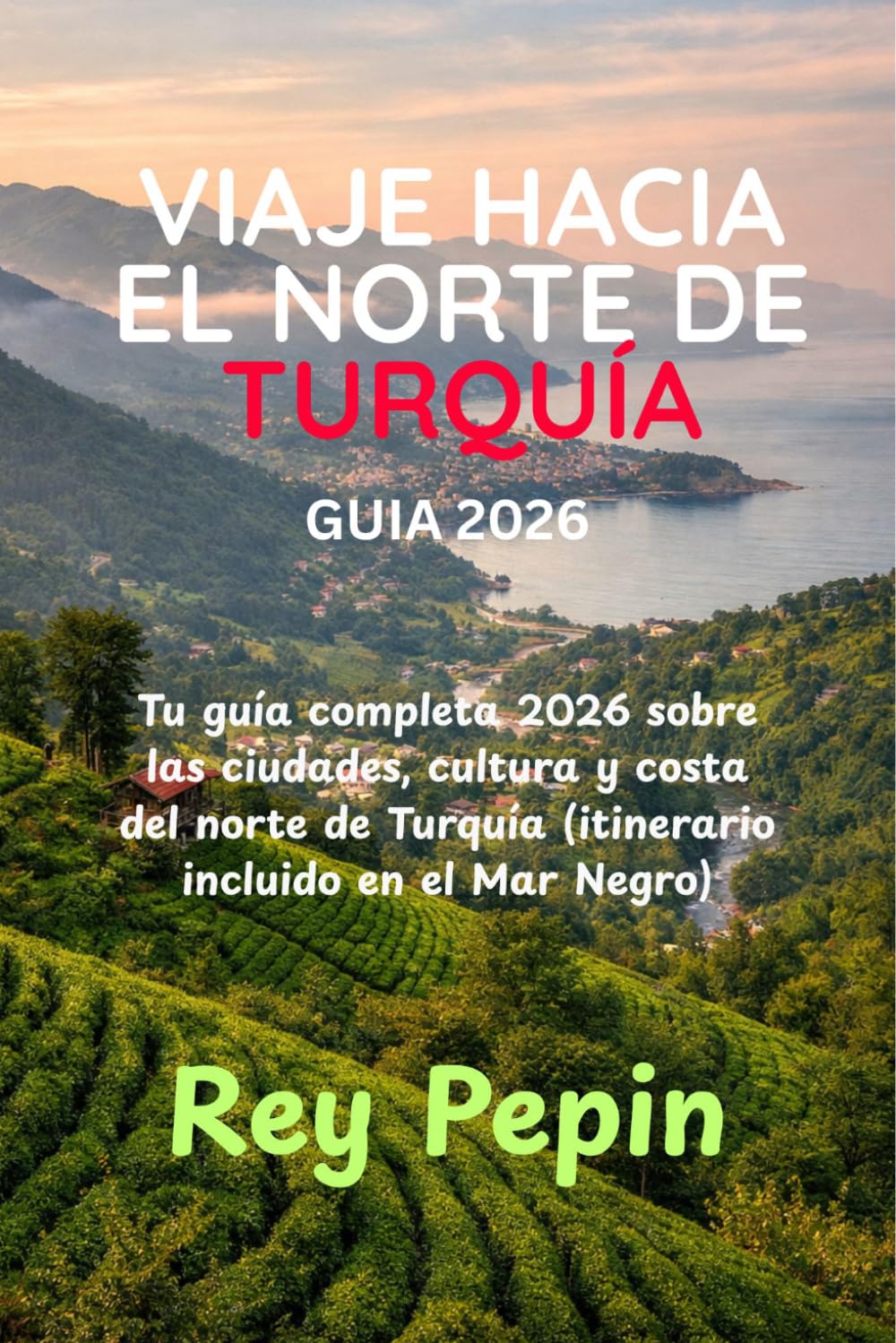 VIAJE HACIA EL NORTE DE TURQUÍA GUÍA 2026: Tu guía completa 2026 sobre las ciudades, cultura y costa del norte de Turquía (itinerario incluido en el Mar Negro)