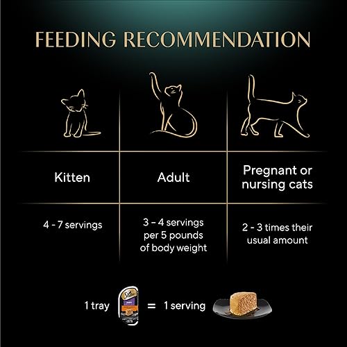 Vista 40 de SHEBA - Paquete variado de paté húmedo para gatos, mariscos exclusivos, salmón delicado y pescado blanco y atún tiernos, Perfect Portions, bandejas