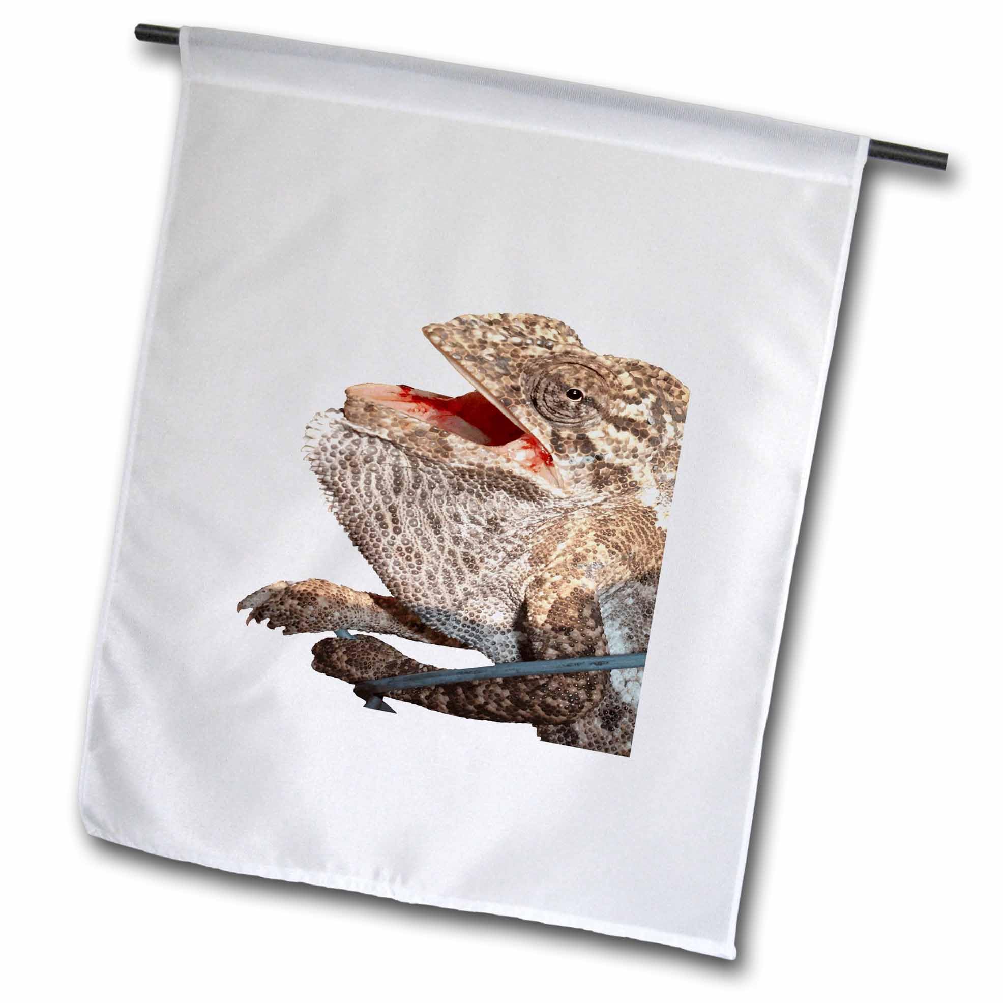 3dRose Chameleon With Open Mouth Nerdy Reptile Photograph Cut Out - Flags (fl-383499-2)