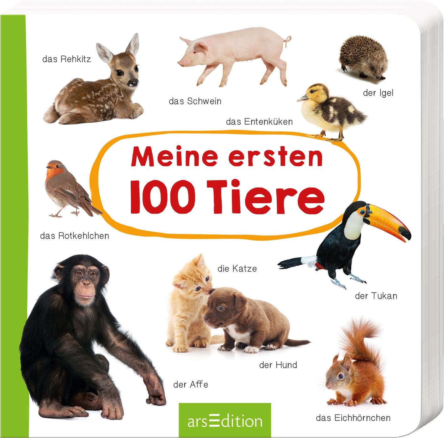 Meine ersten 100 Tiere: Foto-Wörterbuch