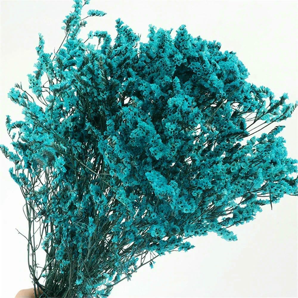 40-50 cm Herbe Cristal Naturelle séchée, véritable Fleur « Amour éternel » pour Les compositions de Mariage