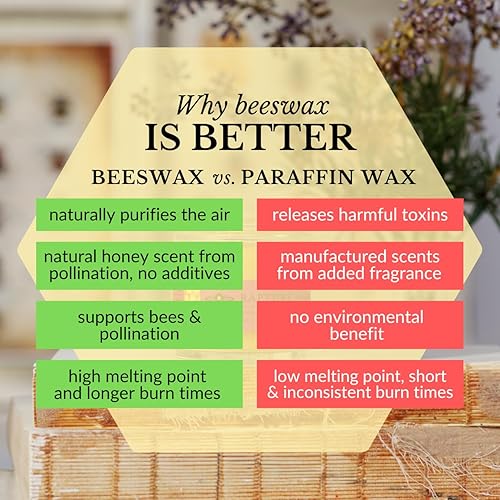 Miniatura 6 de Big Dipper Wax Works Vela de aromaterapia de cera de abejas, aceites esenciales de rapto, pachulí y cassia, vidrio de boticario de 3.2 onzas,