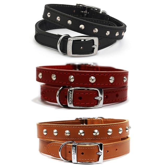 Foto 5 de 5 de Ancol Collar de cuero con tachuelas para perros y cachorros