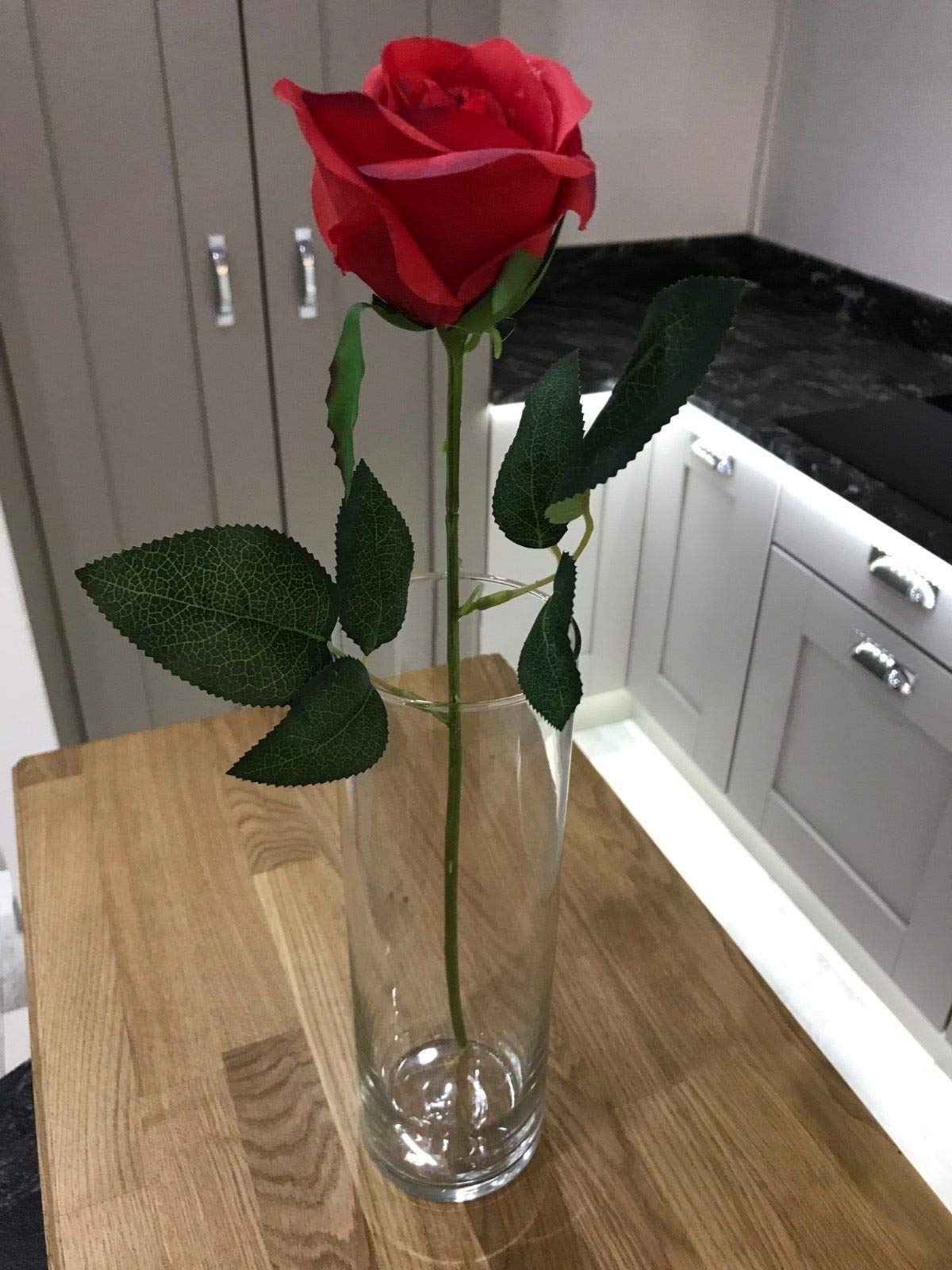 Best Artificial 45cm Single Rose Silk Flower Stem Wedding Home Garden Arrangement (6, Ruby Red)