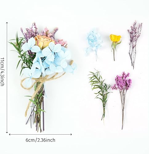 Miniatura 6 de Flores Secas - 13 Piezas Mini Ramo de Flores Secas, Flores Naturales Nomeolvides Myosotis Sylvatica Gipsófila, Planta Floral para Manualidades DIY