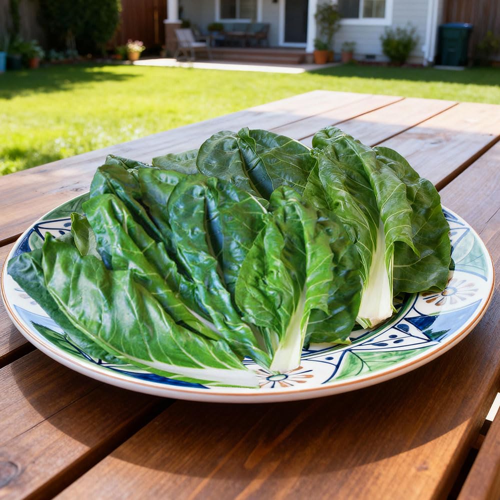 Swiss Chard Verde a Costa Bianca 2 – Mid-Early Italian Variety – Large Meaty Stalks & Dark Green Leaves – Easy to Grow – Long Harvest Season