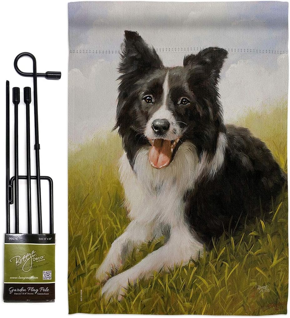 Breeze Decor Border Collie Garden Flag Set with Stand Dog Puppy Spoiled Paw Canine Fur Pet Nature Farm Animal Creature House Decoration Banner Small Yard Gift Double-Sided, Made in USA
