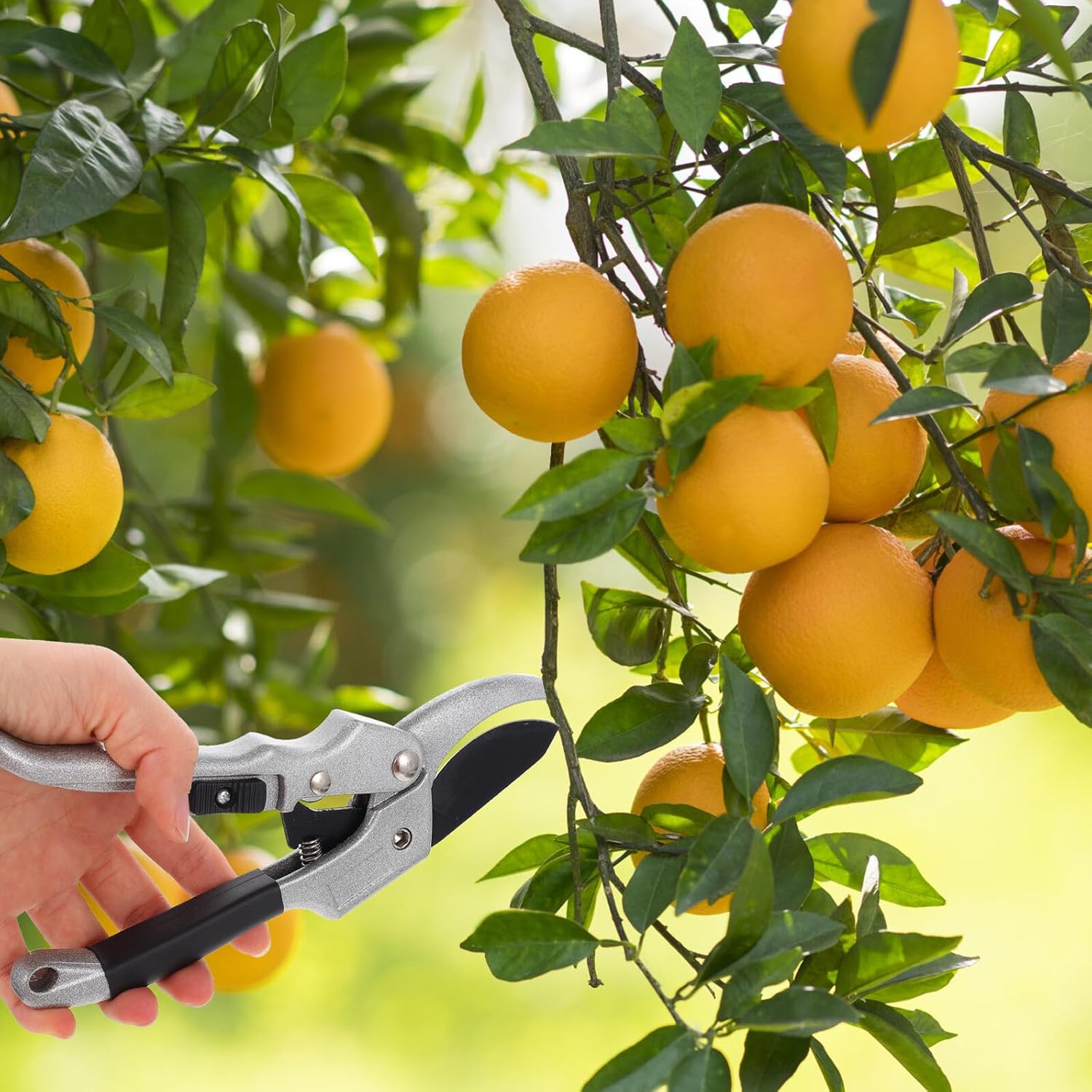 HEMOTON Multifunctional Gardening Tool Kit with Storage Bag Lightweight Aluminum Garden Shovels and Rakes for Soil Loosening Transplanting and Planting Portable for Vegetable Gardens and