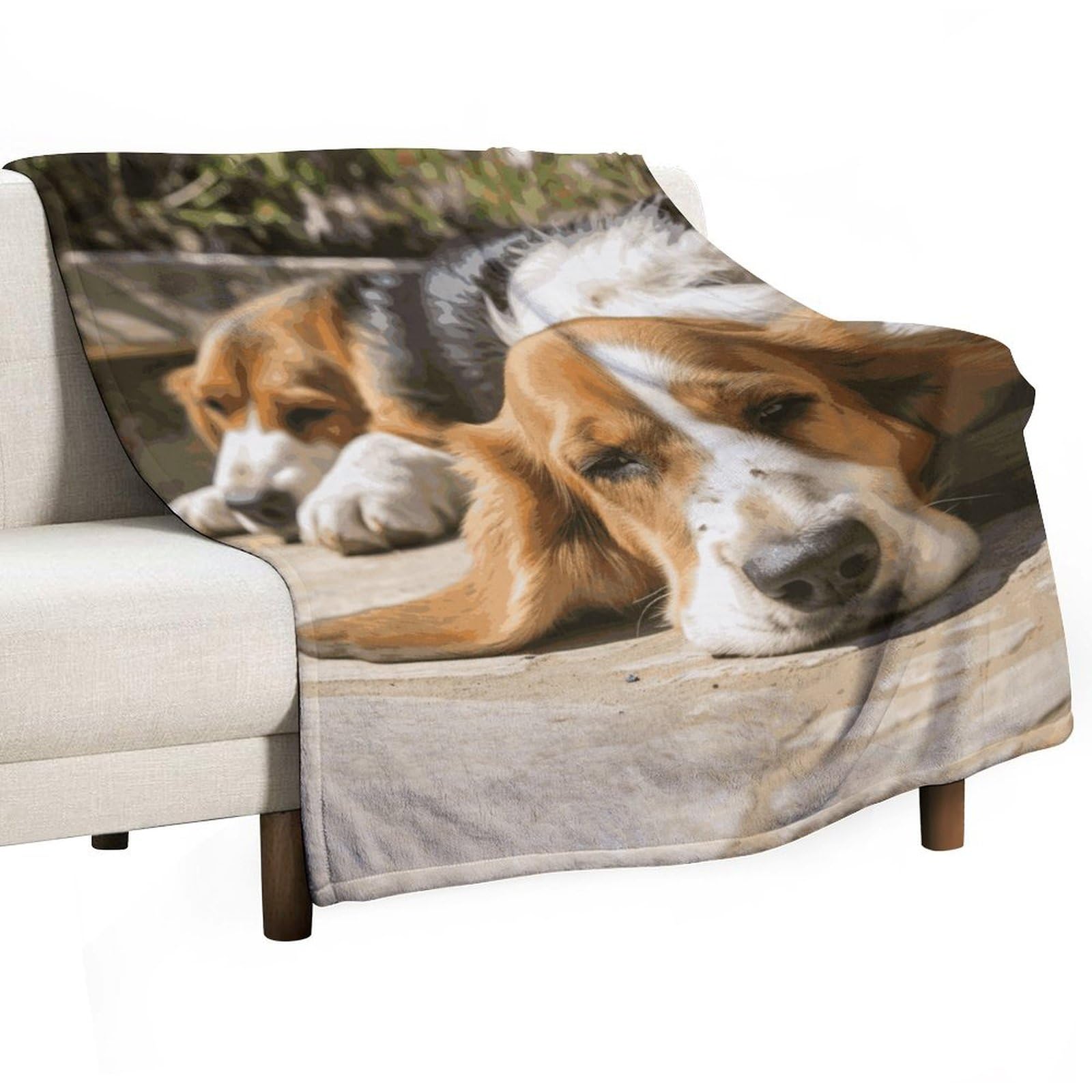 Couverture polaire pour canapé et chien, le plaid super doux pour des moments cocooning en famille