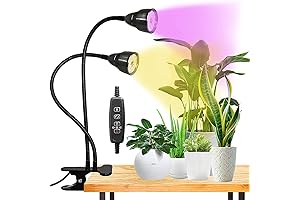 Juhefa Grow Light for Indoor Plants Growing: Radiant Light for Thriving Succulents