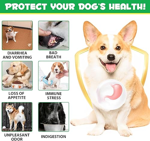 Miniatura 7 de Probióticos para perros, 180 probióticos masticables para perros y enzimas digestivas, promueve la salud intestinal, para el apoyo intestinal, salud