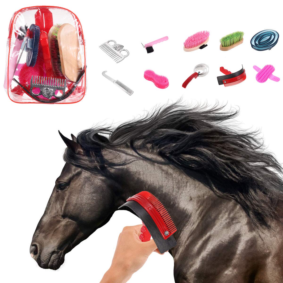 10 piezas Cuidado de Caballo Kit Ecuestre Raspador Cepillo Peine Caso de Transporte