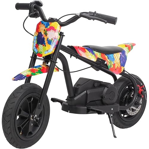 Electric Dirt Bike for Kids, 24V 250W Mini Electric Motorcycle with 9.32-13 MPH Speed & 6.84-9.32 Miles Range, Disc Brake Balance Bike for Ages 5-12 Boys & Girls Multicolor